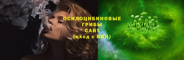 дурь Алексеевка